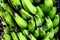 Raw bananas are small to medium in size and are elongated, cylindrical, and slightly curved in shape.Â 